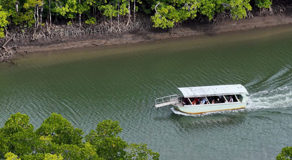 aerial-view-tourist-boat-navigating-mangrove-river